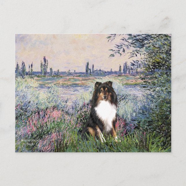 Shetland Sheepdog (Tri) - By the Seine Postcard (Front)