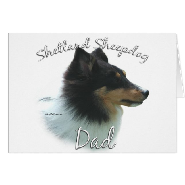 Shetland Sheepdog (tri) Dad 2 (Front Horizontal)