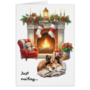Shetland Sheepdog Waiting for Christmas