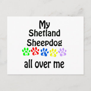 Shetland Sheepdog Walks Design Postcard