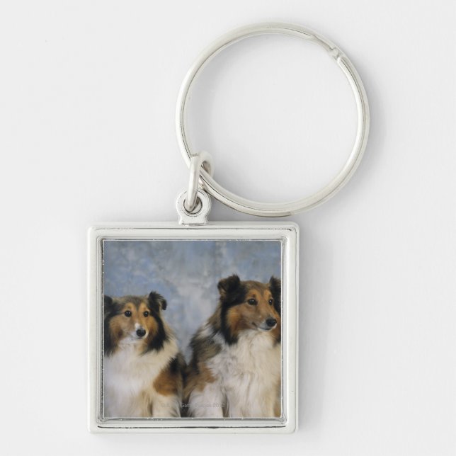 Shetland Sheepdogs Key Ring (Front)