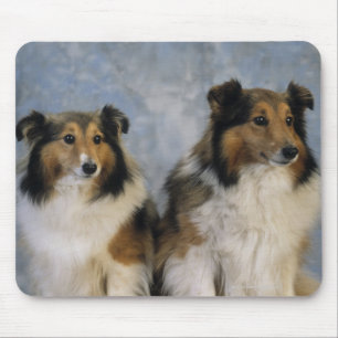 Shetland Sheepdogs Mouse Pad