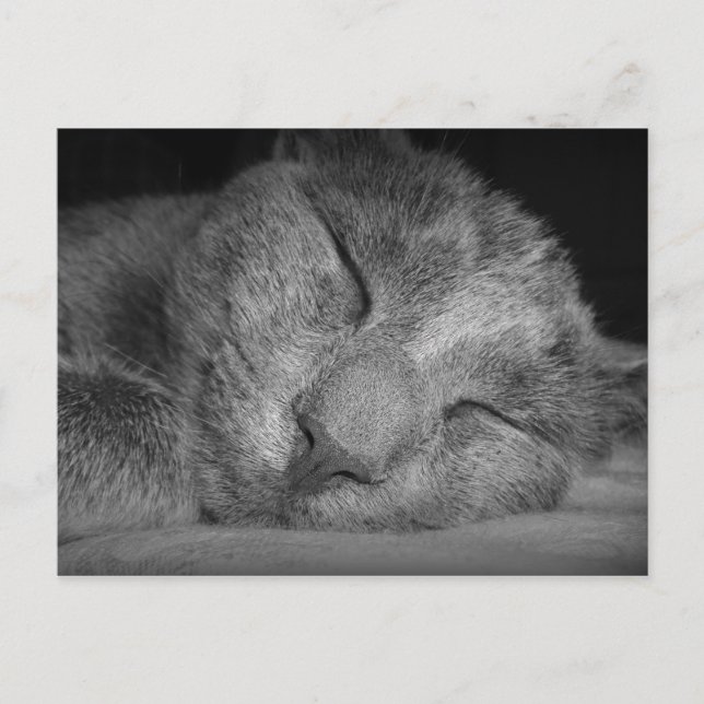 Shhhh..... Postcard (Front)