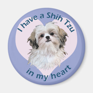 Shi Tzu in My heart Magnet