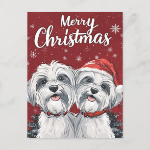 Shi Tzu Merry Christmas Postcard