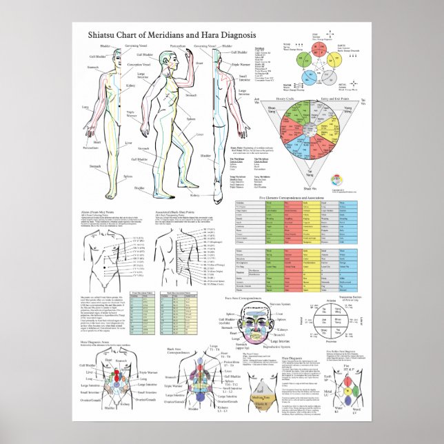 Shiatsu Acupuncture Meridians Hara Diagnosis Chart (Front)