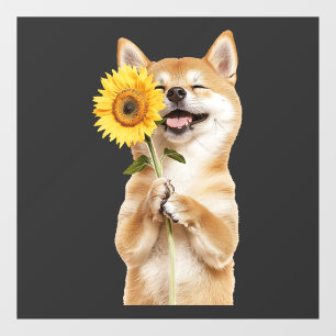 Shiba Inu  