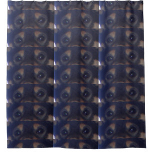 shiba inu black tan eyes shower curtain