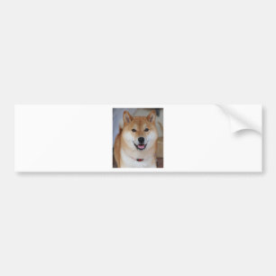 Shiba inu bumper sticker