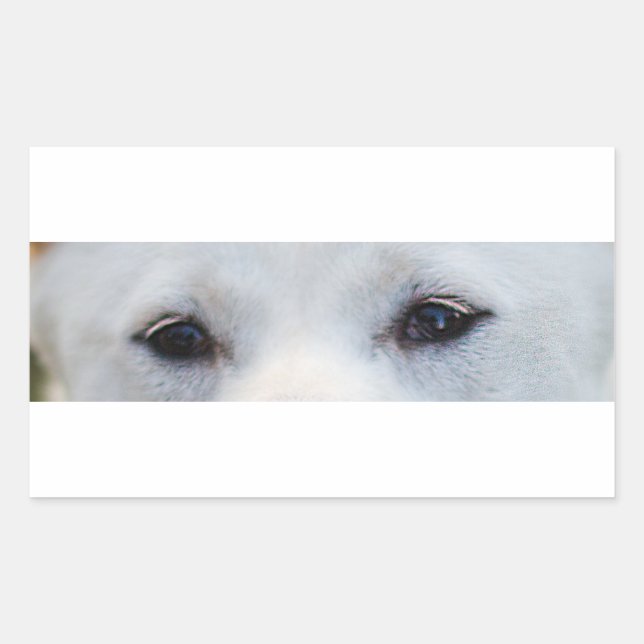 shiba-inu-cream eyes rectangular sticker (Front)