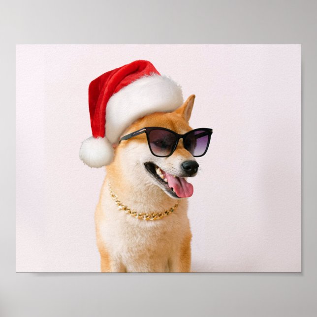 Shiba Inu dog in Santa Claus red hats Poster (Front)