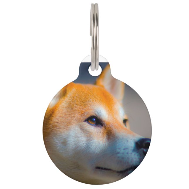 Shiba Inu Dog. Pet Tag (Front)