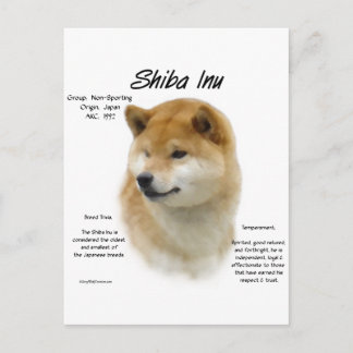 Shiba Inu History Postcard