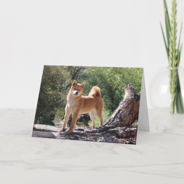 Shiba Inu Holiday Card (Front)