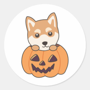Shiba Inu In Pumpkin Sweet Dogs Happy Halloween Cl Classic Round Sticker