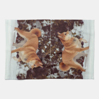 Shiba Inu Kitchen Towels