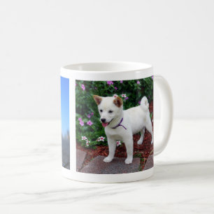 Shiba-inu Maru Coffee Mug