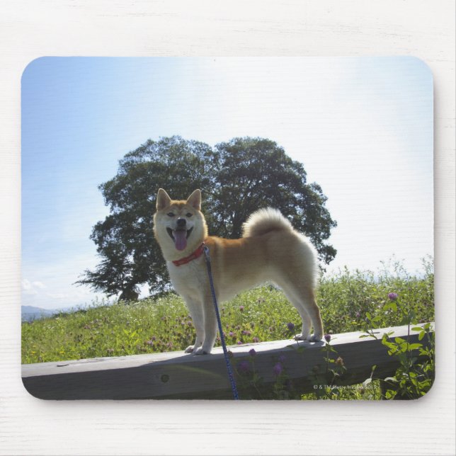 Shiba Inu Mouse Pad (Front)
