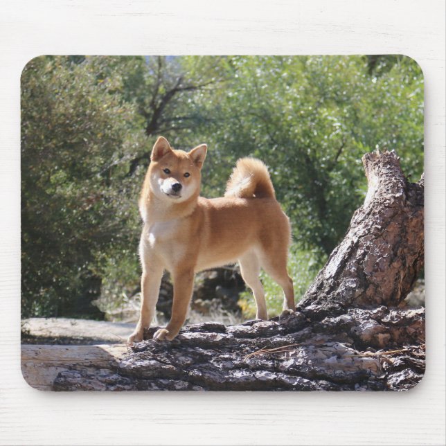 Shiba Inu Mouse Pad (Front)