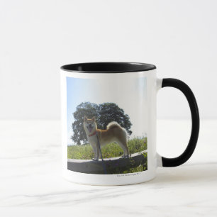 Shiba Inu Mug