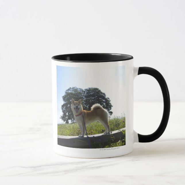 Shiba Inu Mug (Right)