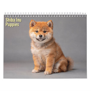 Shiba Inu Puppies 2027 Calendar