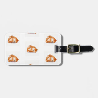shiba inu puppies on the back pattern luggage tag