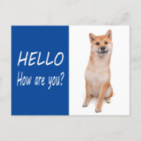 Shiba Inu Puppy Dog Greeting Post Card