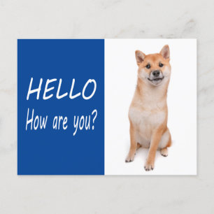 Shiba Inu Puppy Dog Greeting Post Card