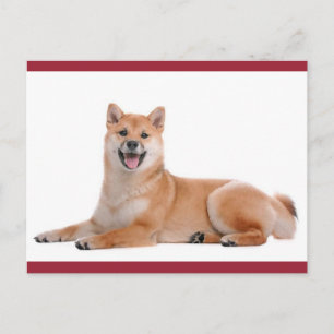 Shiba Inu Puppy Dog Greeting Post Card