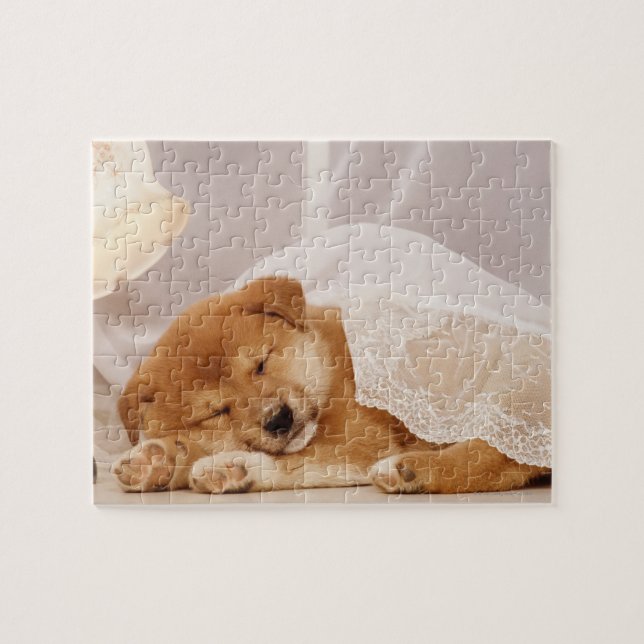 Shiba Inu puppy sleeping under a net curtain Jigsaw Puzzle (Horizontal)