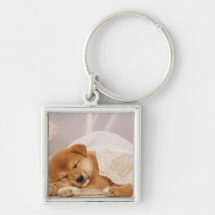 Shiba Inu puppy sleeping under a net curtain Key Ring