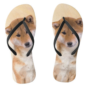 Shiba Inu (Red) Painting - Original Dog Art Jandals