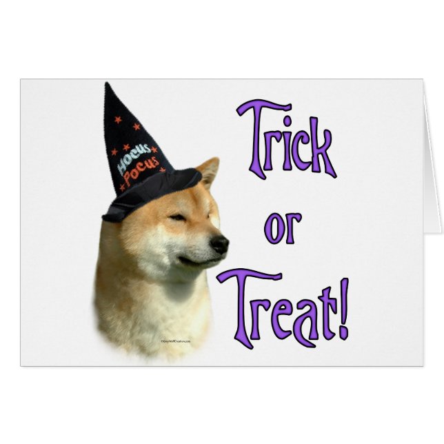 Shiba Inu Trick (Front Horizontal)