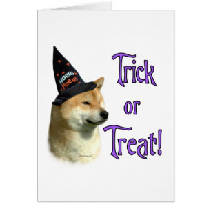 Shiba Inu Trick