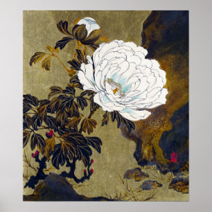 Shibata Zeshin Peonies Poster
