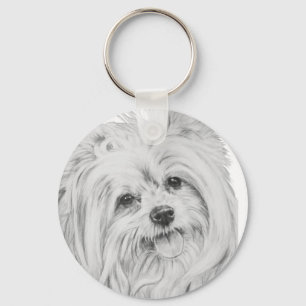 ShiChi Key Ring