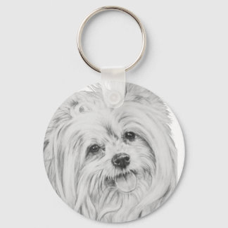 ShiChi Key Ring