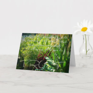 Shield Card