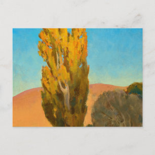 Shifting Light on a Poplar, 1930 by Maynard Dixon Postcard