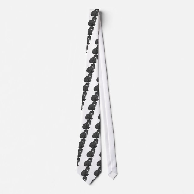 Shih Poo Tie (Front)