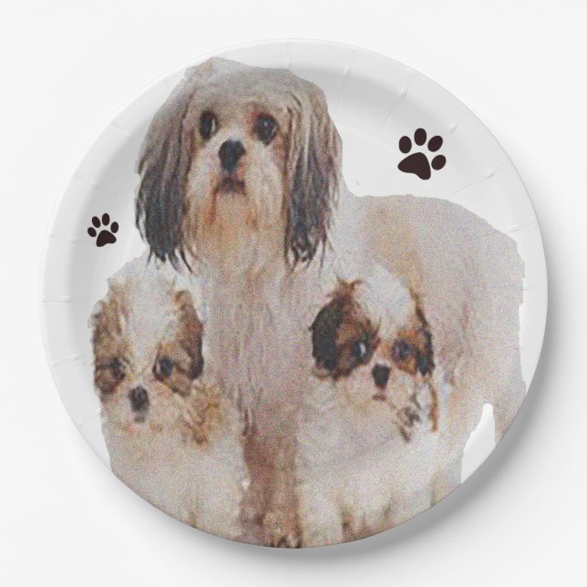 Shih-tsu Paper Plate (Front)