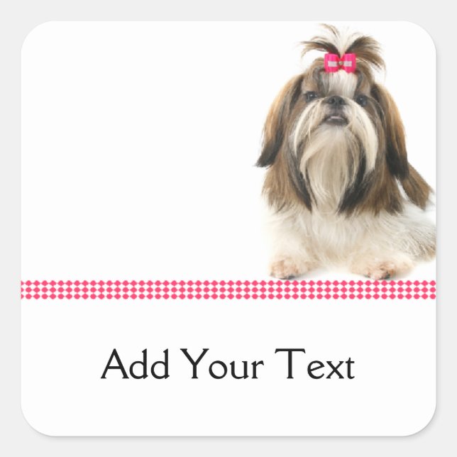 Shih Tsu with Pink Bow on Pink Diamond border Square Sticker (Front)