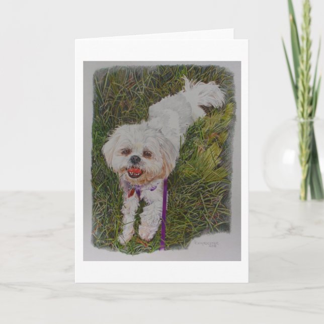 Shih Tzh, a Rescue dog named Spirit Card (Front)