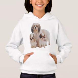 Shih-tzu