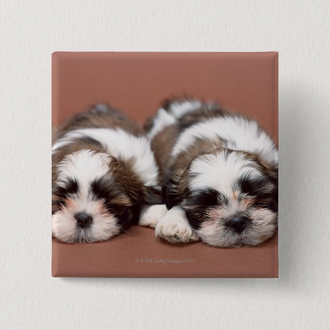 Shih Tzu 15 Cm Square Badge (Front)