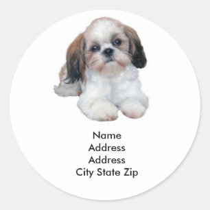 Shih Tzu Address Label