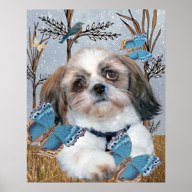 Shih Tzu and Butterflies Print (Front)