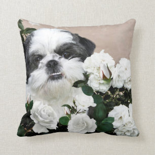 Shih Tzu and roses Cushion