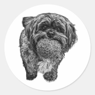 Shih Tzu & Ball   Playful Dog Art Sticker